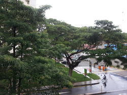 bedok-north-street-4 photo thumbnail #10